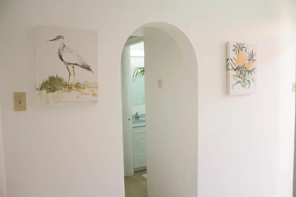 Kingston Luxury Condo Apartment Jamaica